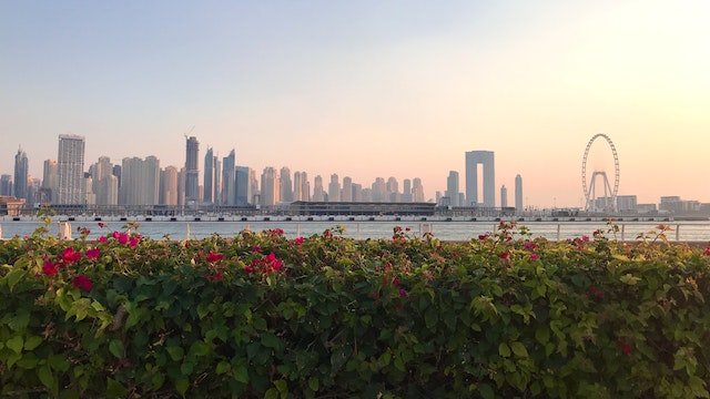 pexels dmitri tarelkin 6935057 11